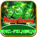 Pak Basant - Gaming Premium