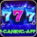 wasim VIP Gaming App